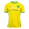 Oficiální Fotbalový Dres Norwich City Domácí 2024-25 pro Muži